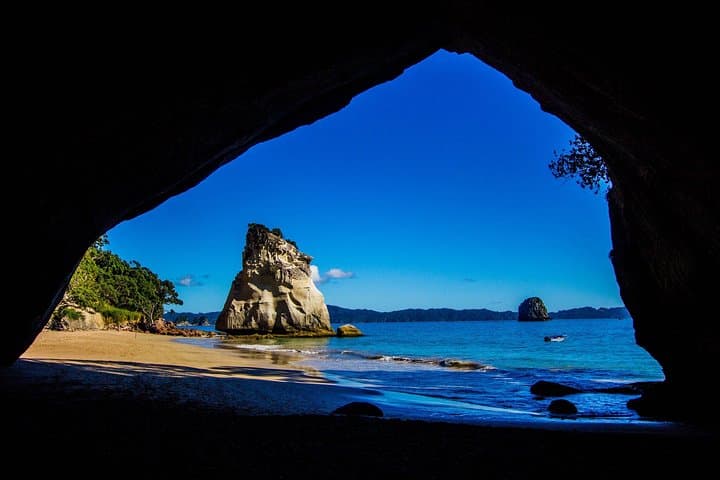 Coromandel Coastal Experience - Small Group Tour from Auckland