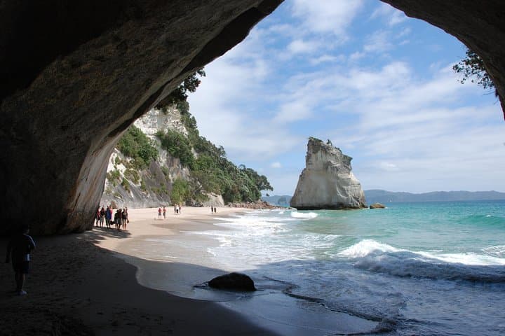 Coromandel Coastal Experience - Small Group Tour from Auckland