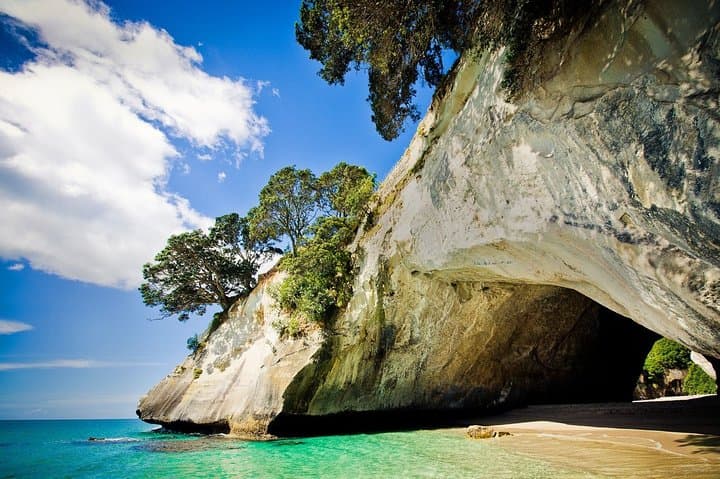 Coromandel Peninsula Discovery - Private Tour From Auckland