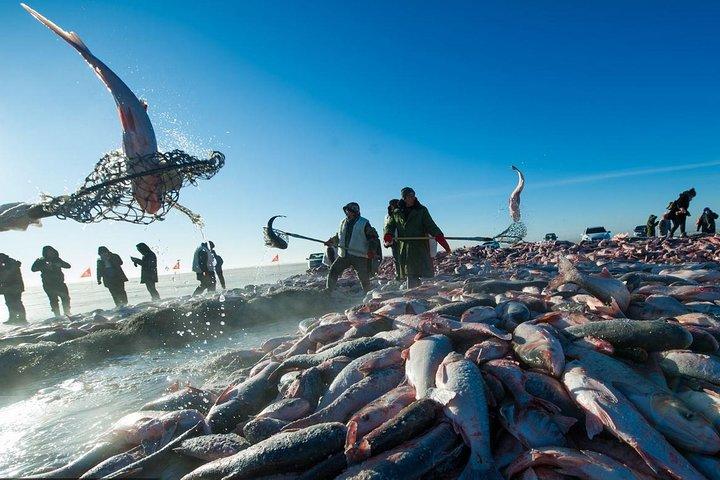 Chagan Lake Winter Fishing Culture Experience from Harbin