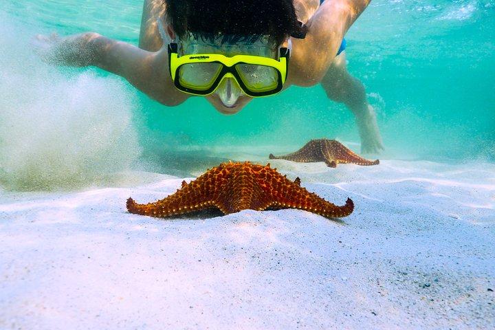 Private Stingray City en snorkelen Halve dag charter voor 6 gasten