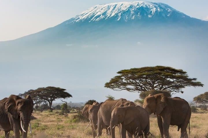 Private Transfer from Nairobi to Jomo Kenyatta Airport (NBO)