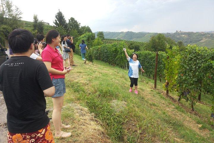 Livourne Port ShorExcursion: Siena San Gimignano Lunch&WineTasting