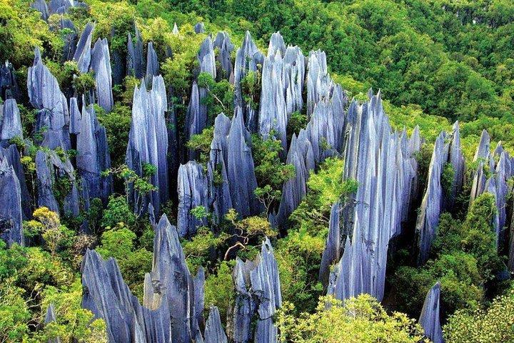 Excursion privée d'une journée à Stone Forest, au lac Dianchi et à West Hill au départ de Kunming