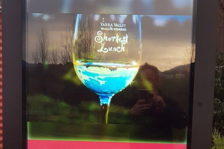 Yarra Valley Wine Tasting Day Tour from Melbourne