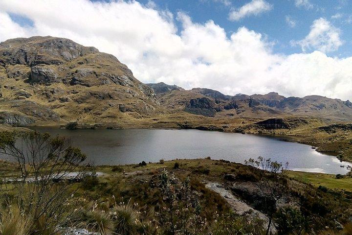 Gedeelde Cajas National Park halve dagtour vanuit Cuenca