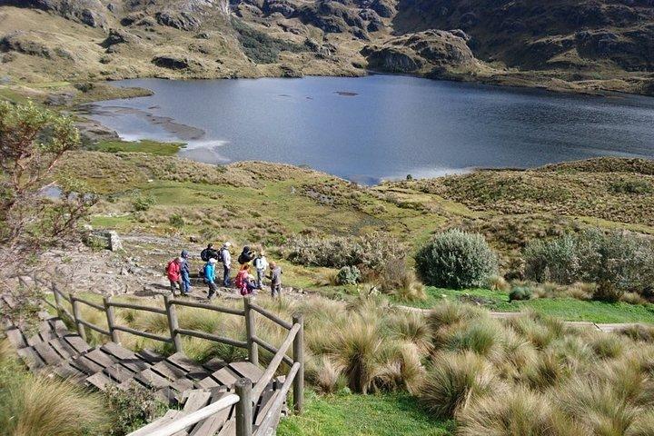 Gedeelde Cajas National Park halve dagtour vanuit Cuenca