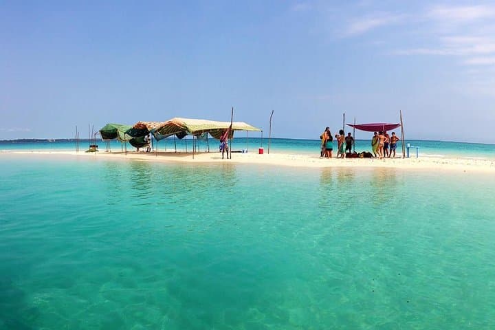 Private Full-day Safari Blue Trip with Lunch buffet