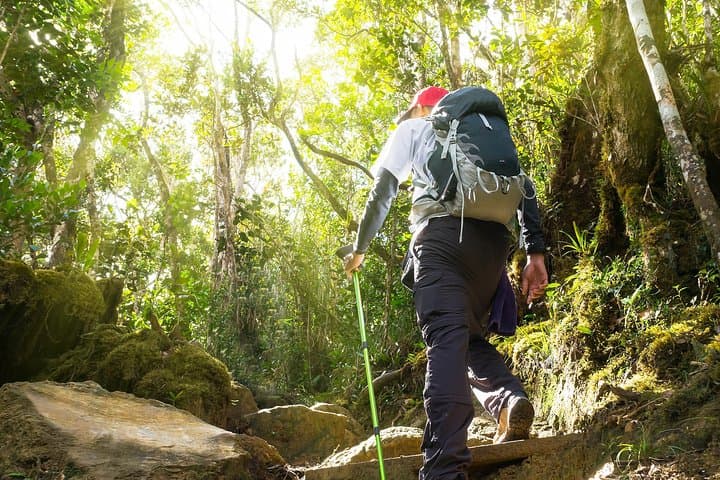 Cultural & Nature Day Tour: Batu Caves, Templer Park & Waterfalls