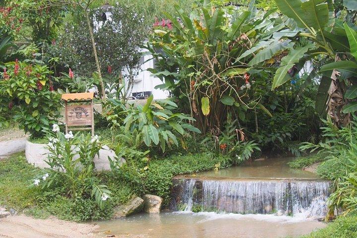 Tour a Minca + Cascadas + Hacienda Cafetera
