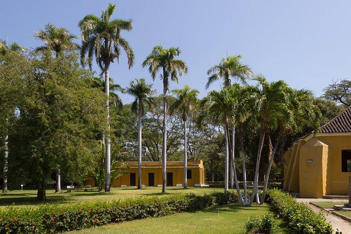 Tour della città vecchia e della città di Quinta San Pedro Santa Marta