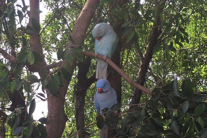 広州から長隆歓楽世界と鳥公園へのプライベート日帰りツアー