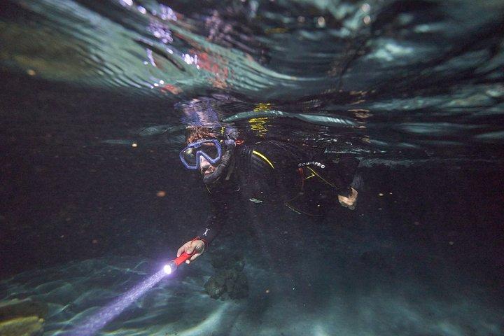 Snorkel Nocturno