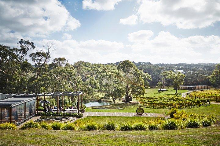 Almuerzo en la península de Mornington, vino y paseo artístico por Pt Leo Estate