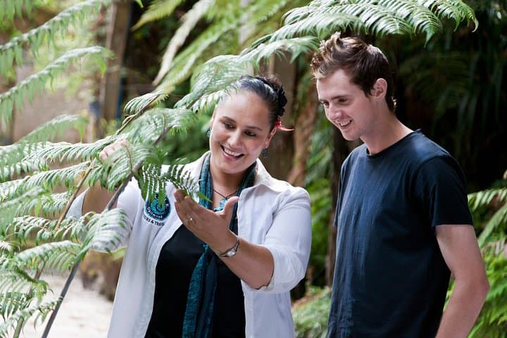 Auckland Māori Cultural Tour with Indigenous Guide & West Coast