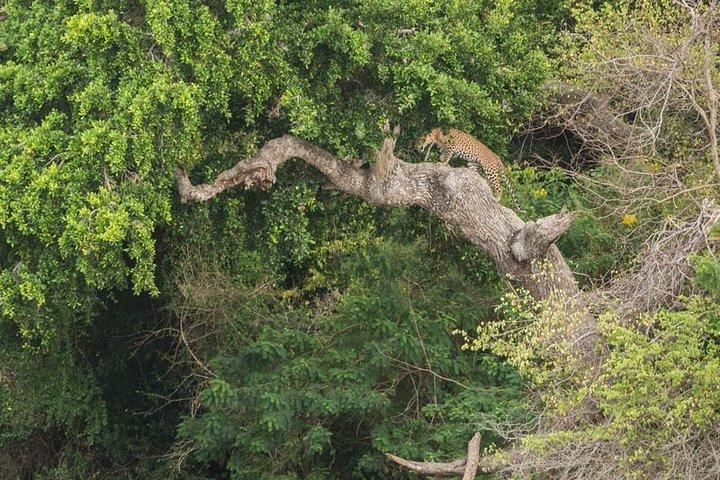 ヤーラ国立公園またはウダワラウェ国立公園への 1 日ツアー