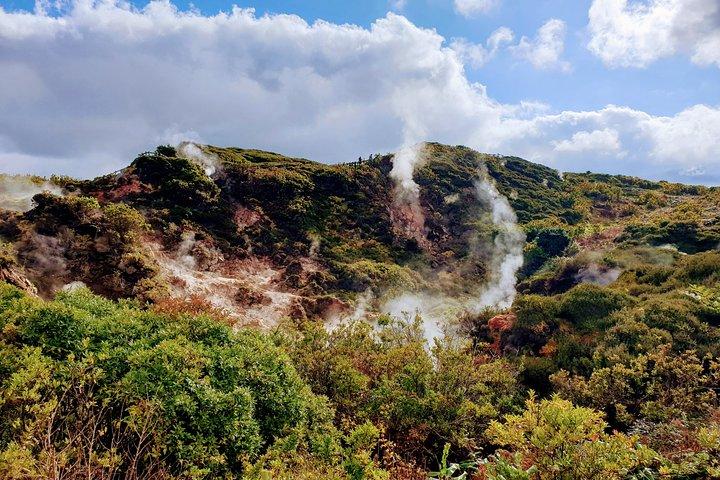 Excursion privée d'une journée sur l'île de Terceira
