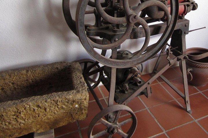 Visite privée à Wine Cellar Penedés