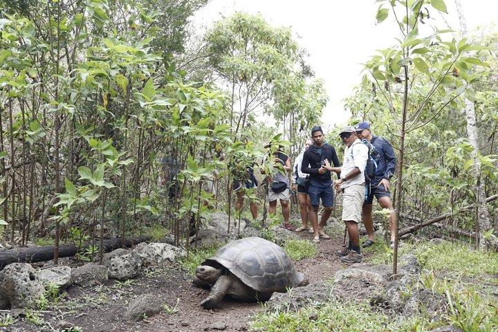 11 dage Galapagos fulde oplevelser "Santa Cruz- Isabela - San Cristobal"