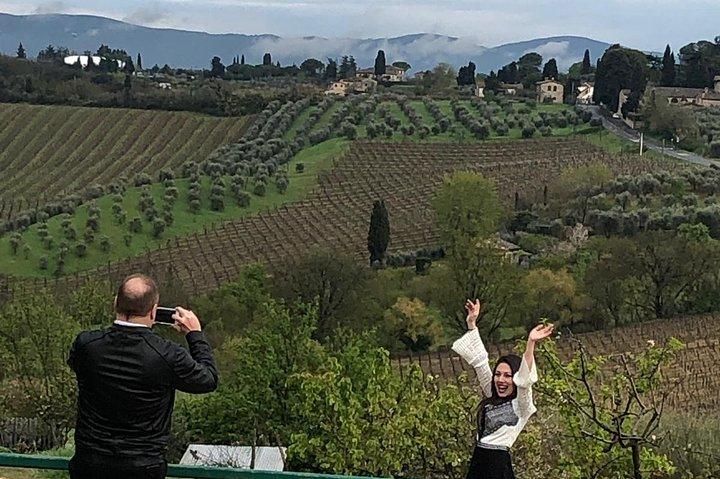 Livourne Port ShorExcursion: Siena San Gimignano Lunch&WineTasting