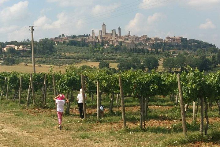 Livourne Port ShorExcursion: Siena San Gimignano Lunch&WineTasting