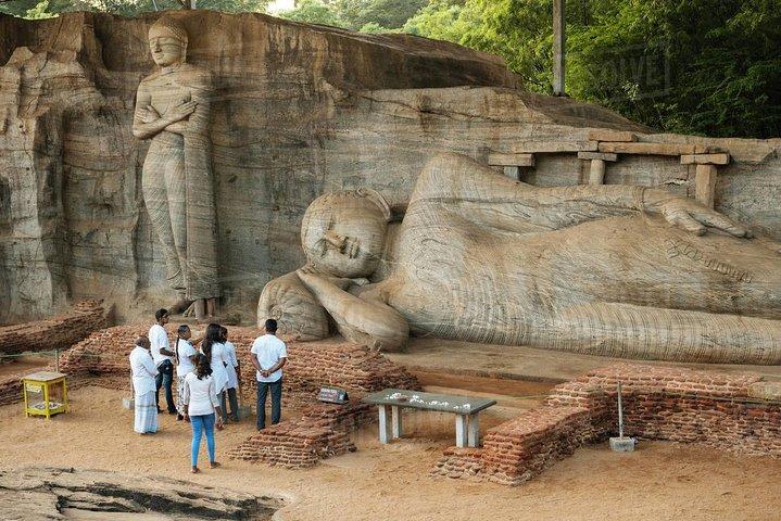 Excursion d'une journée à Polonnaruwa avec déjeuner par Mahaweli