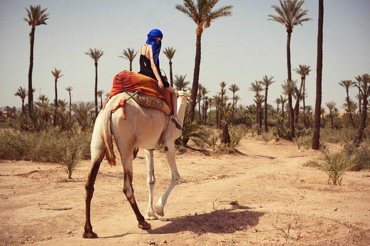 Activity in Marrakech combined Quad and camel ride
