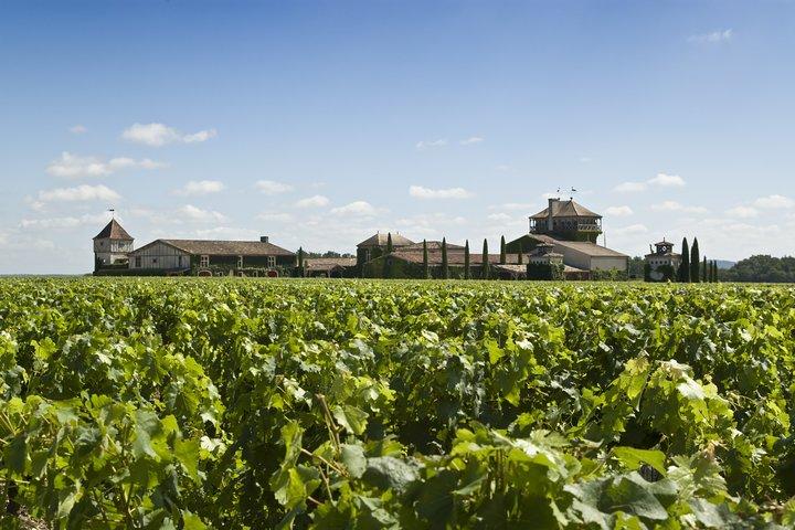Pessac Leognan 4,5 heures Wine Tour dans une Citroën 2CV de Bordeaux