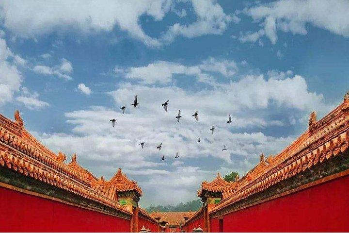 Privat Shenyang Highlights Day Tour med Manchurian-Han Style Lunch