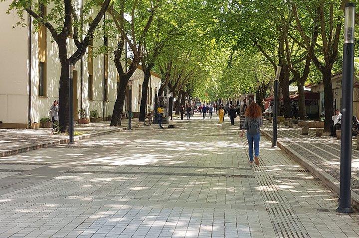 Tirana : Visite à pied de l'histoire communiste avec un habitant