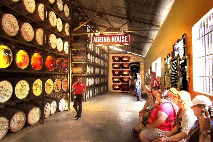 Black River Safari and Appleton Rum Estate Private Tour