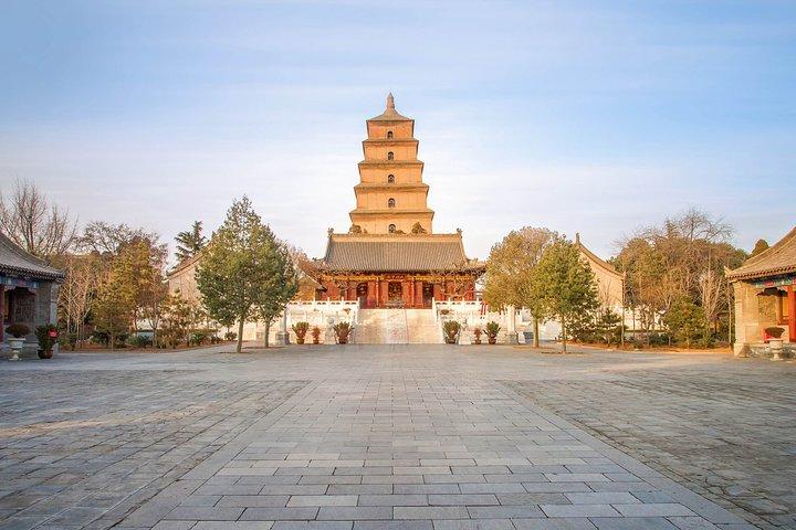 Tour privato di un giorno dei guerrieri di terracotta e della città di Xi'an
