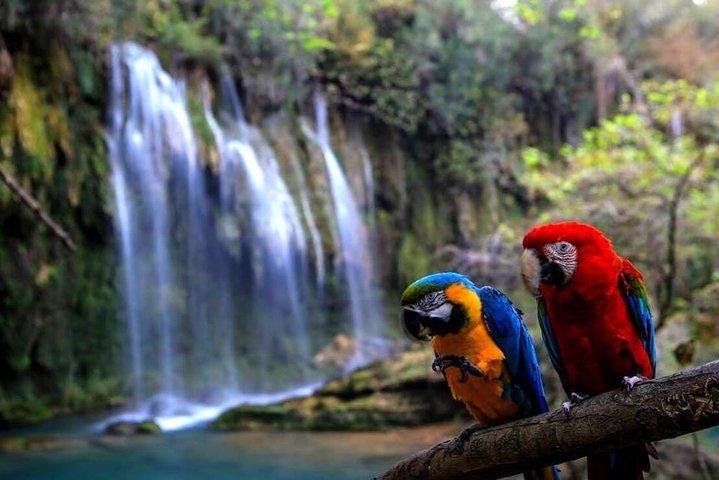 Perge, Aspendos, Side, Manavgat Waterfall Tour (Grupos pequenos)