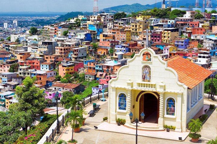 Transfer vom Flughafen Guayaquil zum Hotel oder umgekehrt