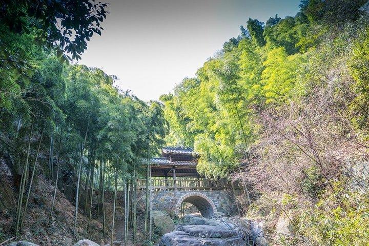 Transferência privada para Mogan Mountian de Hangzhou