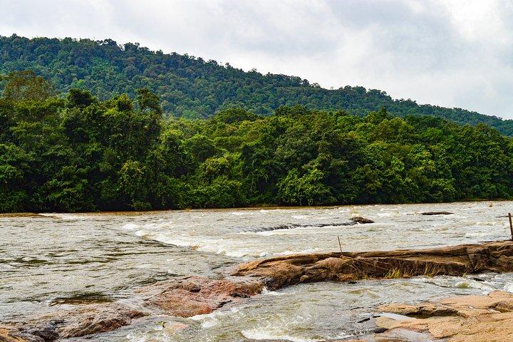Athirappilly Falls & Cherai Beach Bliss - Fuga de um Dia de Kochi