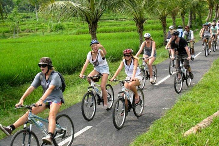 Tour in bicicletta Halo in discesa