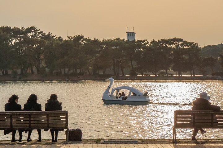 Certificado por Fukuoka: Um passeio fotogênico para visitar lugares bonitos com quimono!