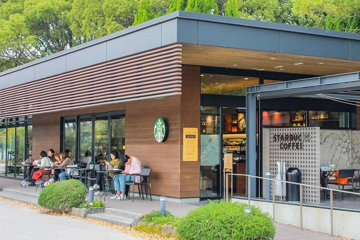 Certificado por Fukuoka: Um passeio fotogênico para visitar lugares bonitos com quimono!
