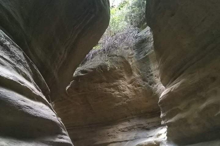 Excursion d'une journée au parc national de Hells Gate et promenade en bateau sur le lac Naivasha