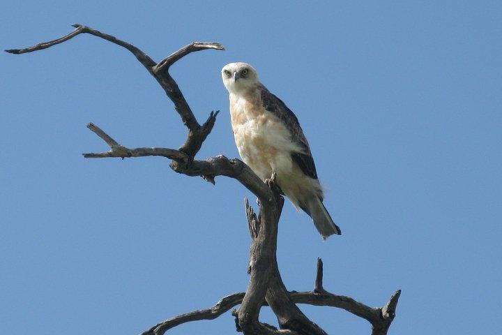 Excursion d'une journée au parc national de Hells Gate et promenade en bateau sur le lac Naivasha