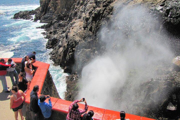Ensenada Shore Excursion: Blowhole e La Bufadora Tour con equitazione