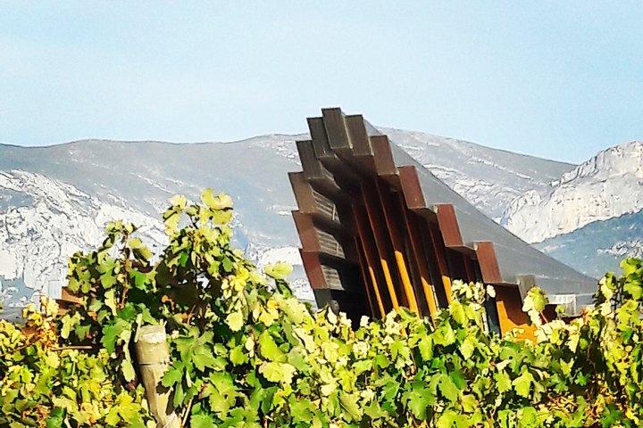Riojas Top-vinsmagning privat tur