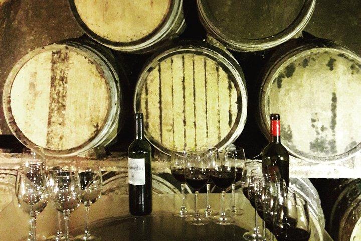 Riojas Top-vinsmagning privat tur