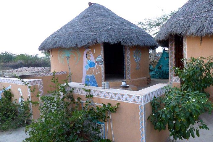 Bishnoi Village Safari - 自然保護に関する教育