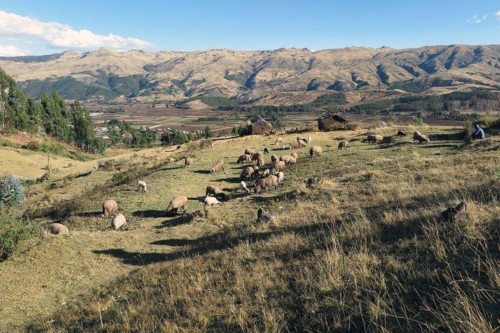 Sacred Valley & Machu Picchu - 2-tägige Tour