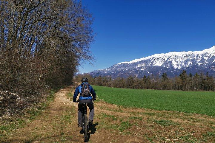 Det bedste fra Lake Bled på cykel
