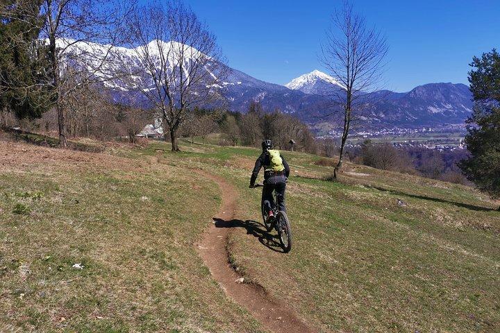 Det bedste fra Lake Bled på cykel