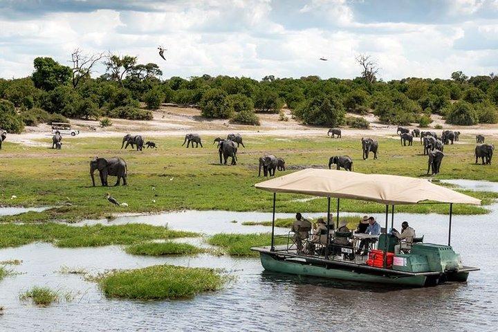 Chobe-dagstur fra Livingstone