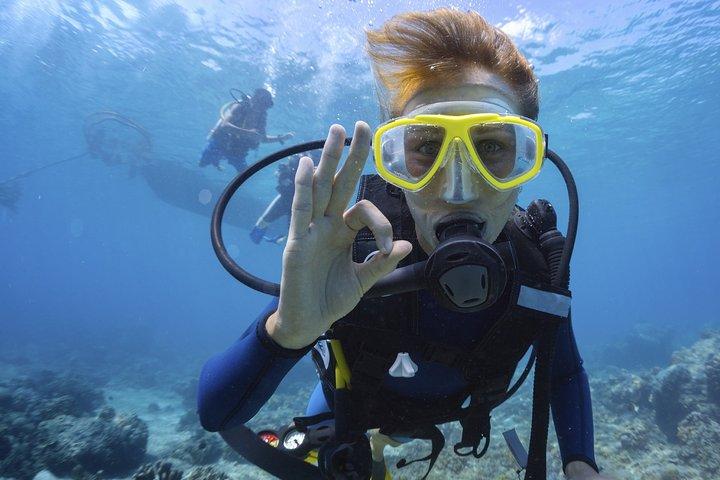 Mallorca: Opdag dykning fra stranden